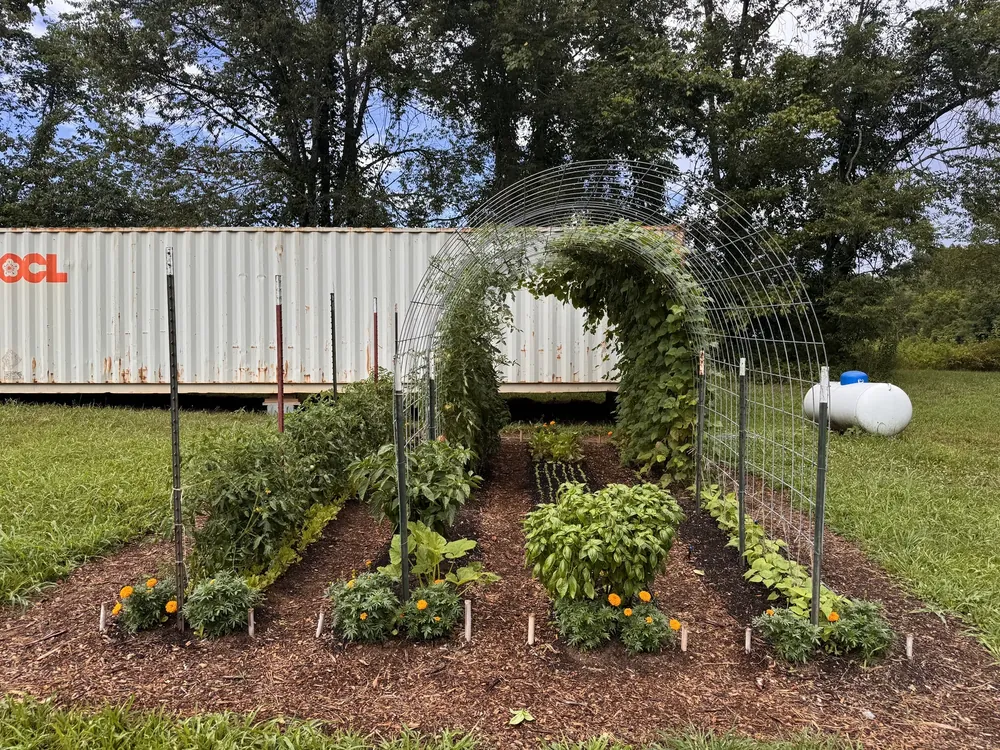The Garden Plan in full production with bean arch trellis and marigolds